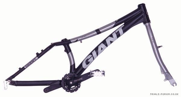 giant frame price